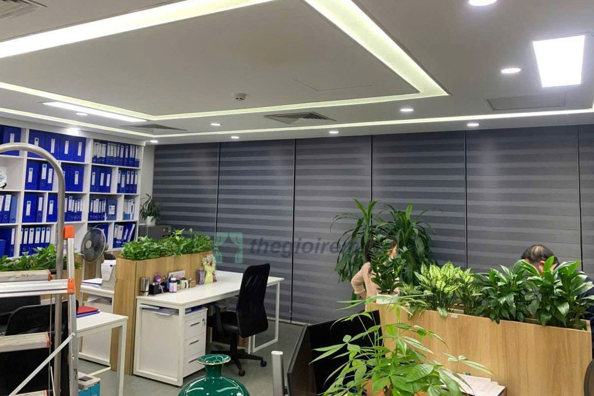 Rèm cầu vồng Biên Hòa